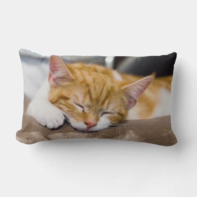 Cute Kitten Lumbar Pillow (Front)