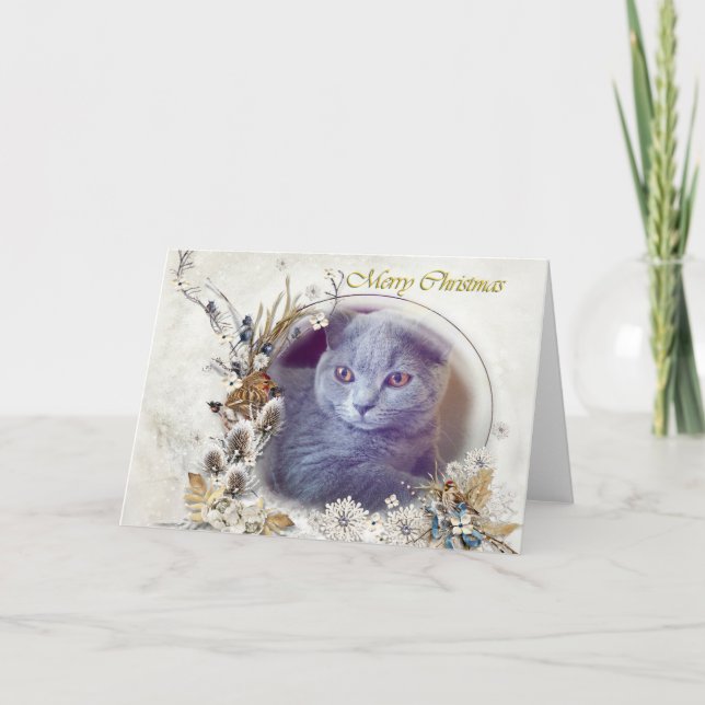 Cute kitten Merry Christmas card (Front)