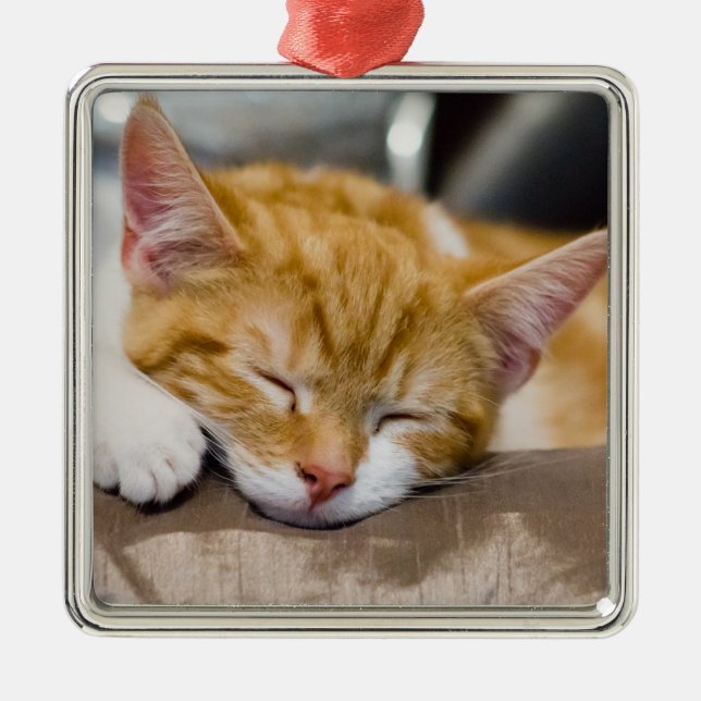 Cute Kitten Metal Ornament (Front)