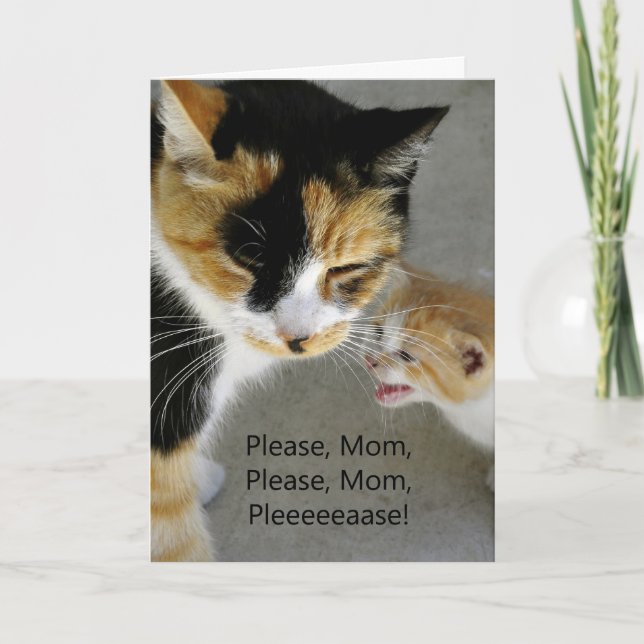 Cute Kitten Mom Happy Birthday Card (Front)