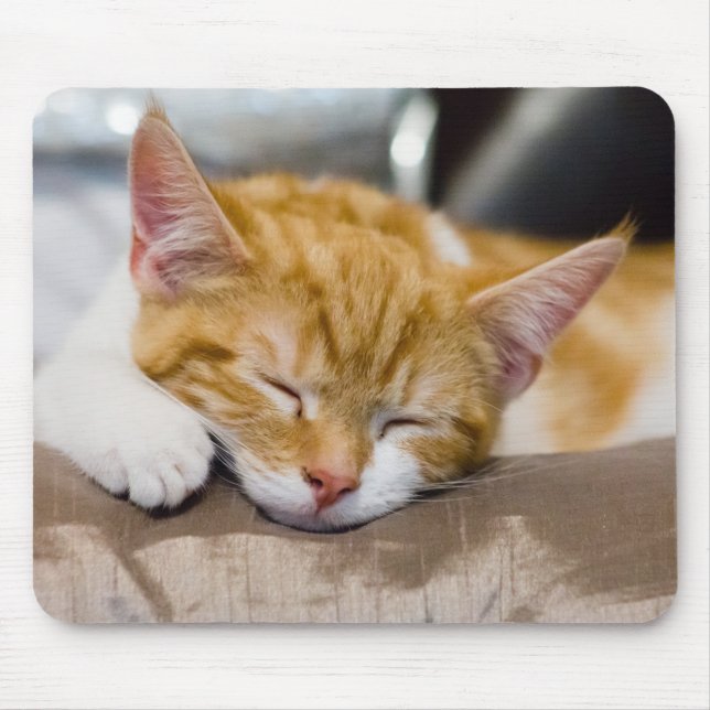 Cute Kitten Mouse Pad (Front)