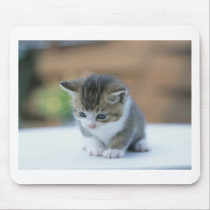 Cute Kitten Mouse Pad