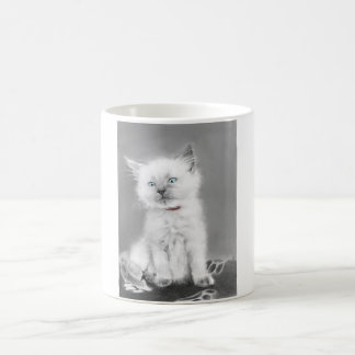 Cute Kitten Mug