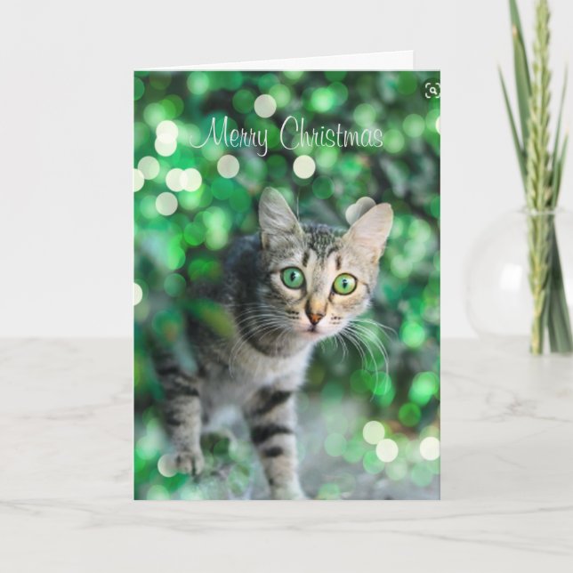 Cute Kitten Personalized Christmas Card (Front)