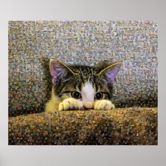 Cute Kitten Photo Mosaic. Poster (Front)