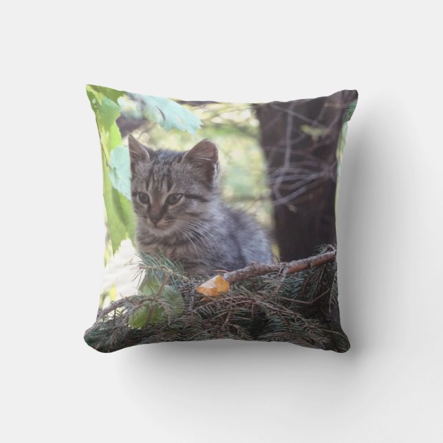 Cute Kitten Photo Throw Cushion (Front)