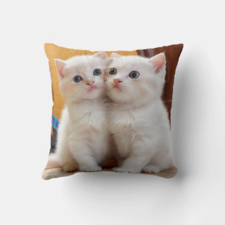 Cute kitten pillow cushion