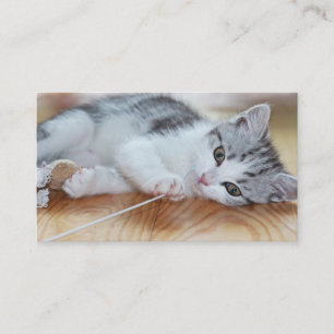 Cute Kitten playing with string Business Card