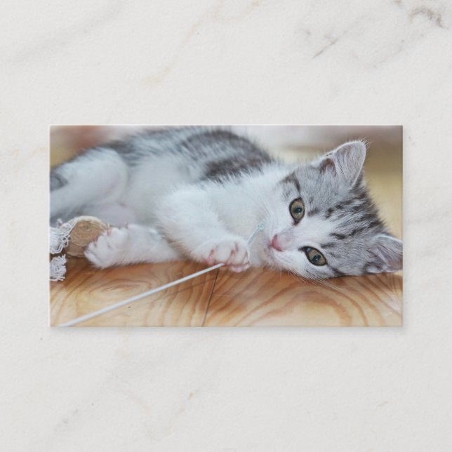 Cute Kitten playing with string Business Card (Front)