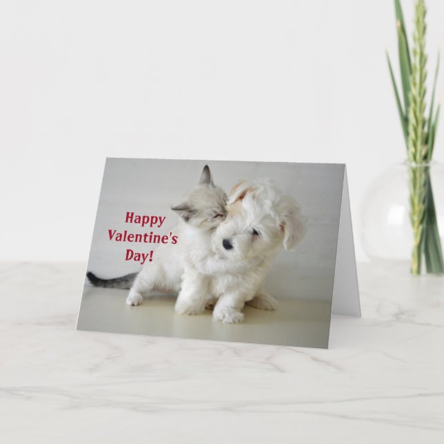 Cute Kitten Puppy Valentine's Day Folded Holiday Card (Front)