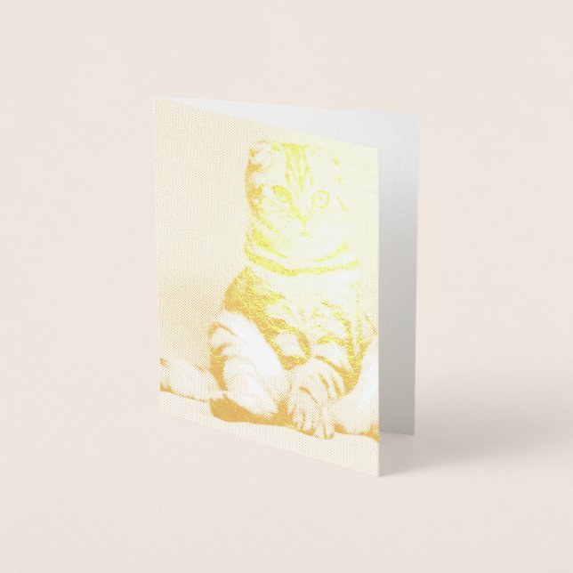 Cute Kitten Sprawled Out Foil Card (Front)