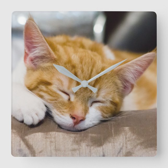 Cute Kitten Square Wall Clock (Front)