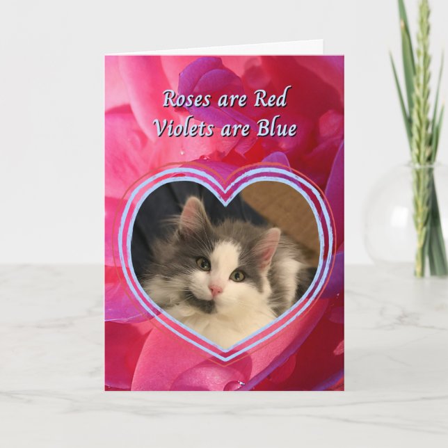 Cute Kitten The Cat is My Favourite Valentine's Card (Front)