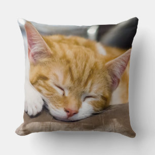 Cute Kitten Throw Pillow