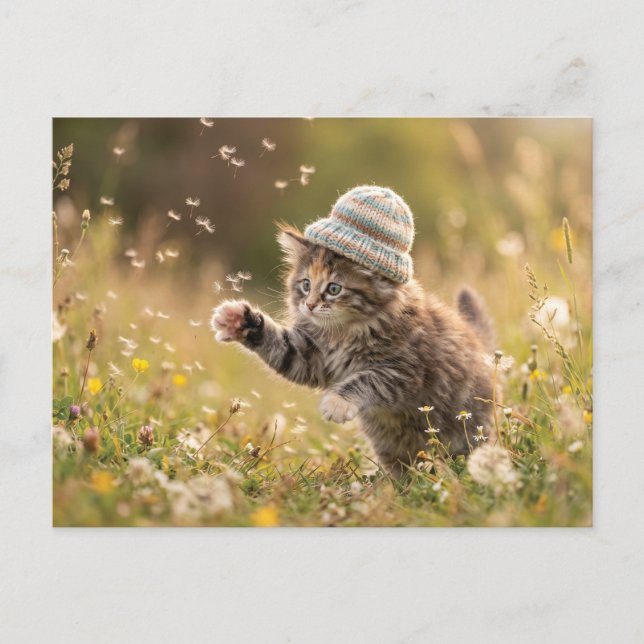 Cute Kitten Wearing a Hat Playing with Dandelions Postcard (Front)