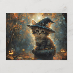 Cute Kitten Wearing a Witch Hat Postcard