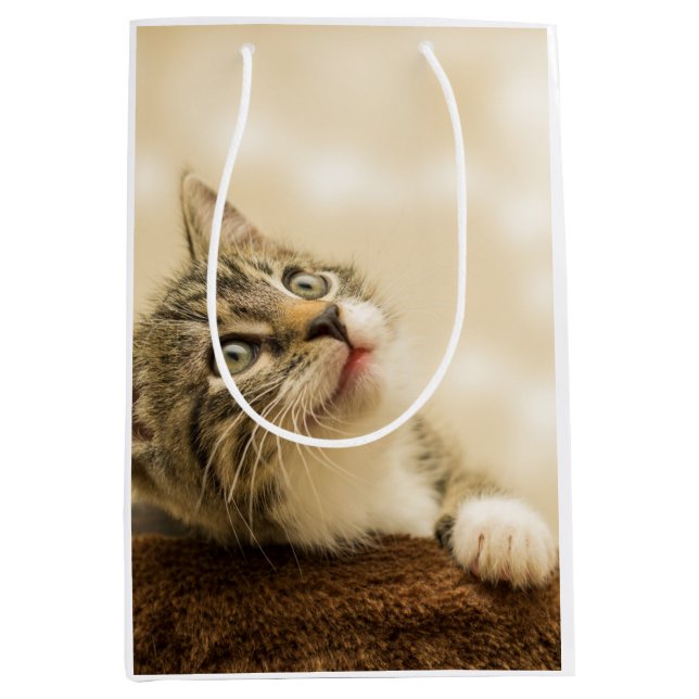 Cute Kitten with an Outstretched Paw Medium Gift Bag (Front)