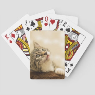 Cute Kitten with an Outstretched Paw Playing Cards