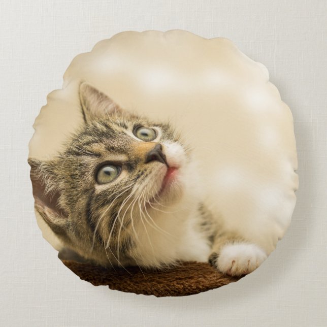 Cute Kitten with an Outstretched Paw Round Pillow (Front)