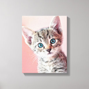 Cute kitten with blue eyes. canvas print