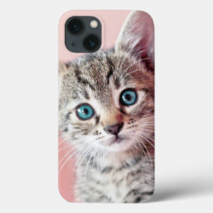 Cute kitten with blue eyes. iPhone 13 case