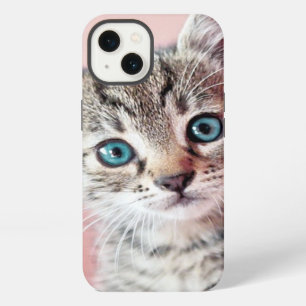 Cute kitten with blue eyes. iPhone 13 case