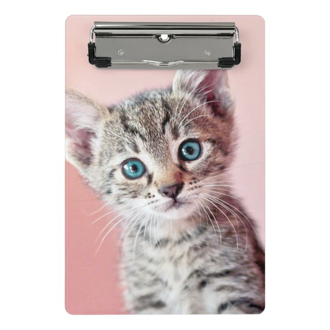 Cute kitten with blue eyes. mini clipboard (Front)