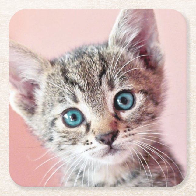 Cute kitten with blue eyes. square paper coaster (Front)