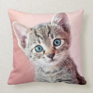 Cute kitten with blue eyes. throw pillow