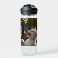 Cute Kitten with Dewdrop Personalized Name Gift