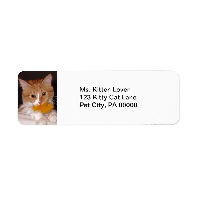 Cute Kitten with Fluffy Toy Return Address Labels (Front)