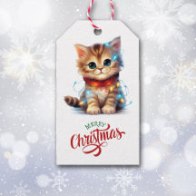 Cute Kitten Wrapped in Holiday Lights