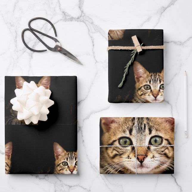 Cute Kitten Wrapping Paper Pack (Front)
