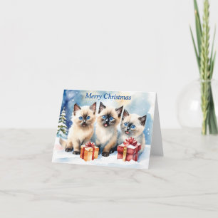 Cute Kitten Xmas Card