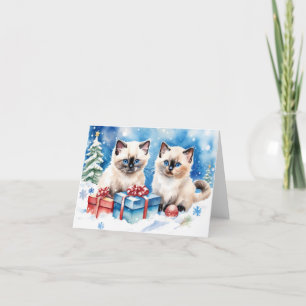 Cute Kitten Xmas Card