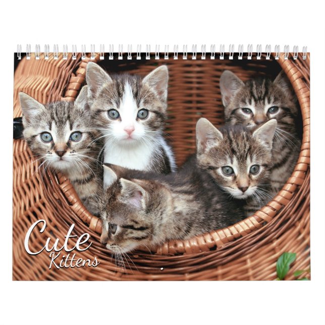 Cute Kittens 2024 Cat Pet Calendrier photo (Protection)