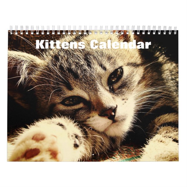 Cute Kittens 2025 Calendar (Cover)