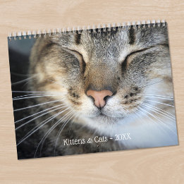 Cute Kittens and Cats Pet Photo Calendar