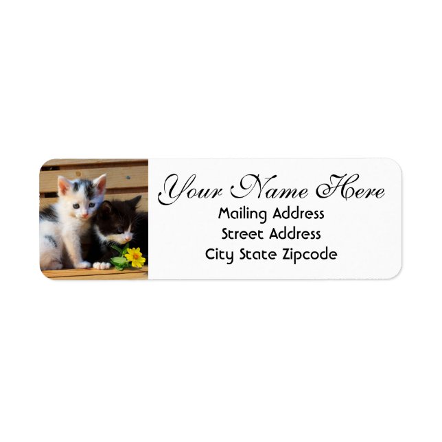 Cute Kittens and Flowers Return Address (Front)