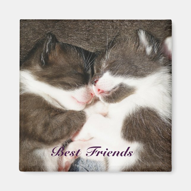 Cute kittens best friends customizable magnet (Front)