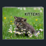 Cute Kittens  Calendar<br><div class="desc">Adorable kittens for cat lovers</div>