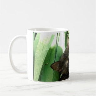 Cute kittens cuddling coffee mug