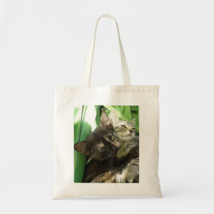 Cute kittens cuddling tote bag