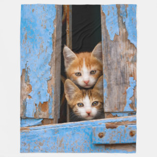 Cute kittens in a vintage window - fleece blanket
