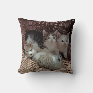 Cute Kittens in Basket Throw Pillow