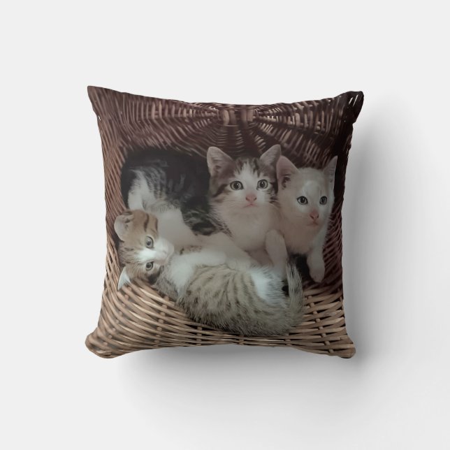 Cute Kittens in Basket Throw Pillow (Front)