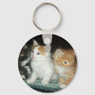Cute Kittens Keychain