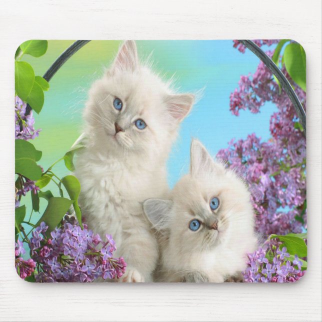 Cute Kittens Mouse Pad (Front)
