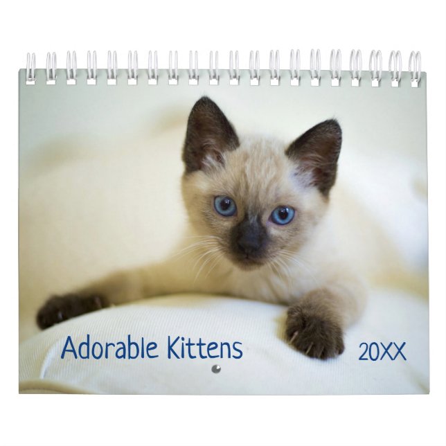 Cute Kittens Pet Photo Calendar (Cover)