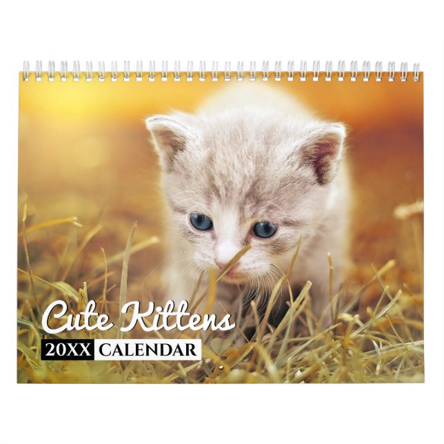Cute Kittens Photo Wall Calendar (Cover)